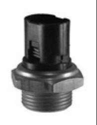 MLH BULBO EV R 21-CLIO-LAGUNA-MEGANE-SCENIC  