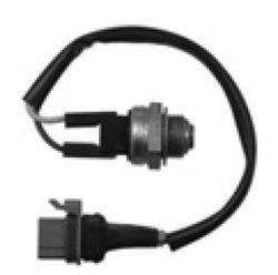 MLH BULBO EV MASTER-R 9-11-21-TRAFIC  