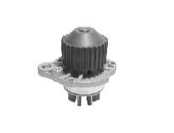 VMG BOMBA AGUA LAGUNA /P 406 / P 605 / XANTIA V6 98/01  