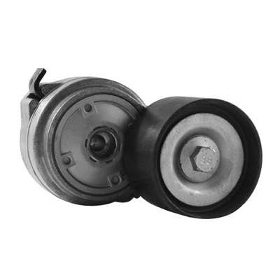 DAYCO TENSOR POLY-V M.BENZ AXOR
