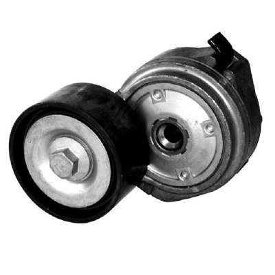 DAYCO TENSOR POLY V  VOLKSWAGEN	CONSTELATION MAN D08 3423 018>