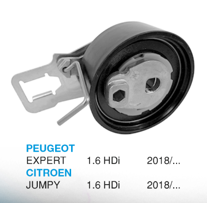 DAYCO POLEA DISTRIBUCION PEUGEOT EXPERT CITROEN JUMPY 1.6 HDI 2018