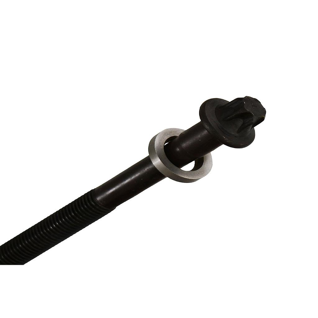 ILLINOIS BULON TAPA CILINDRO PEUGEOT 406 607 806 807 XSARA EVASION C5 - 2,0 - EW10J4 RFN EW10D RLZ 16V