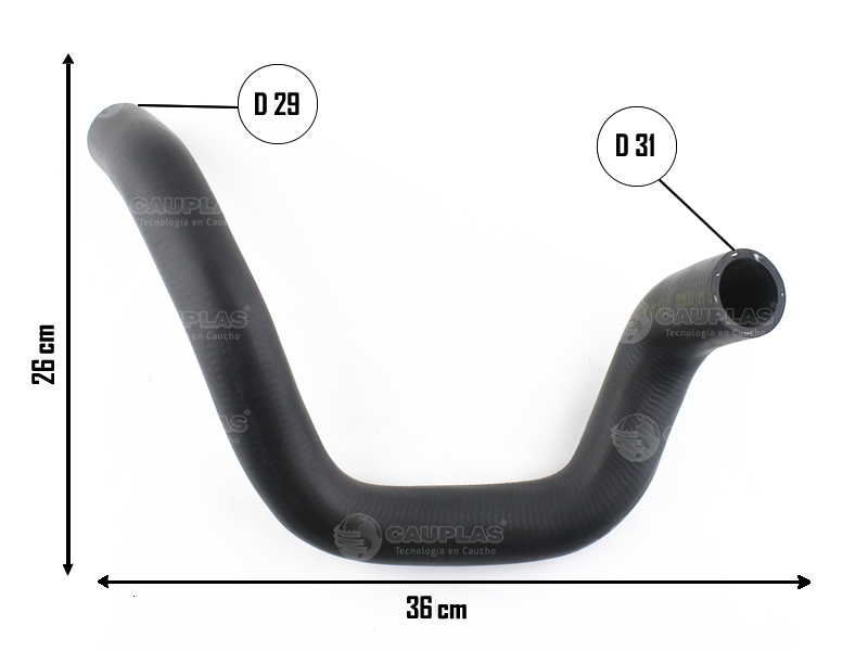 CAUPLAS MANGUERA RADIADOR SUPERIOR FORD FOCUS