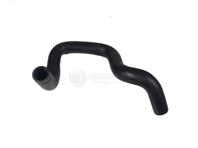 CAUPLAS MANGUERA RADIADOR SUPERIOR FORD FOCUS I OEM:98AB8B274BF =YACO 2456