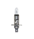 [934060.0408] HALOWAY (13258) LAMPARA H1 24V 70W P14,5S