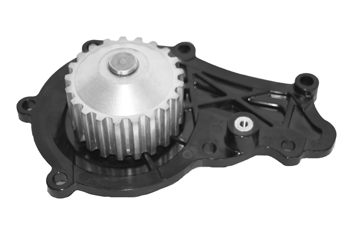 VMG BOMBA AGUA CITROEN C2 C3 1.4 HDI FORD FIESTA II ECOSPORT D 1.4 TDCi (F6J) PEUGEOT 206 207 307 SW 1.4 HDi (DV4TD) - 21 DIENTES