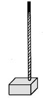 TRIA CARBON MOTOR LIMP CHEVROLET/DODGE  