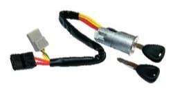 DOG ANTIRROBO KANGOO  