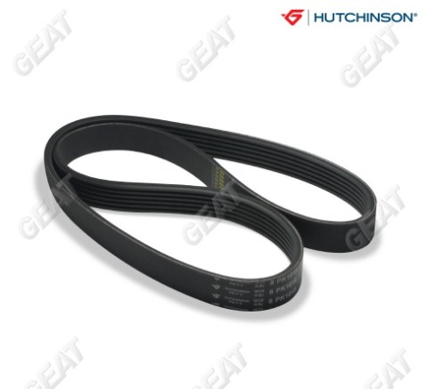 HUTCHINSON CORREA ELASTICA POLI V FORD FOCUS II