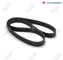 [4PK926.0414] HUTCHINSON CORREA POLY V CLIO II D4F