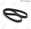 [5PK1165.0414] HUTCHINSON CORREA POLY V UNO PUNTO FIORINO