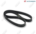 [5PK1747.0414] HUTCHINSON CORREA POLY V CLIO KANGOO KIA HYUNDAI