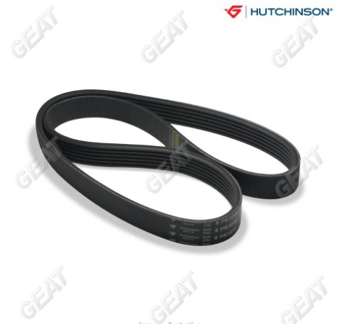 HUTCHINSON CORREA POLY V FORD TRANSIT 2.4 TDCI