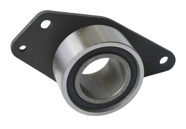 KUGELLAGER TENSOR FIJO CORREA DISTRIBUCION RENAULT KANGOO LAGUNA MEGANE SCENIC 1.9DTI F9Q