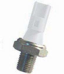 MD BULBO PRESION CARGO-F100-F250  