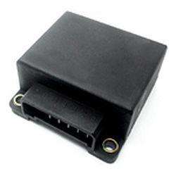 RALUX TEMPORIZADOR CONTROL MOTOREDUCTOR KANGOO  