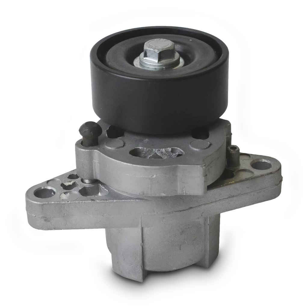 KUGELLAGER TENSOR POLY V RENAULT CLIO KANGOO LOGAN SANDERO MEGANE 1.6 ...